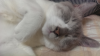 IMAG0238.jpg